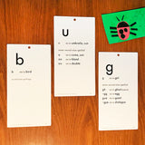 SALE! Big Letter-Sound Cards