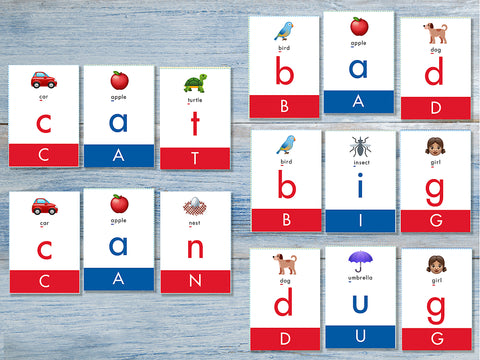 Alphagram Super Flash Cards